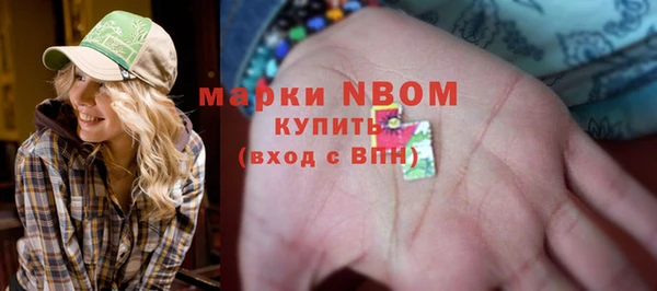 ПСИЛОЦИБИНОВЫЕ ГРИБЫ Гусь-Хрустальный