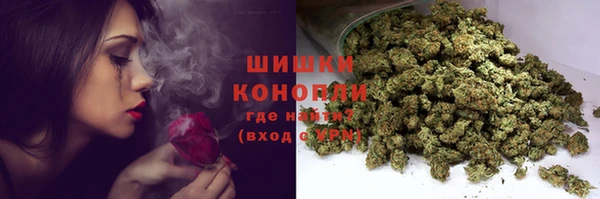 прущие крисы Верея