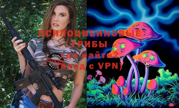 амф Бронницы