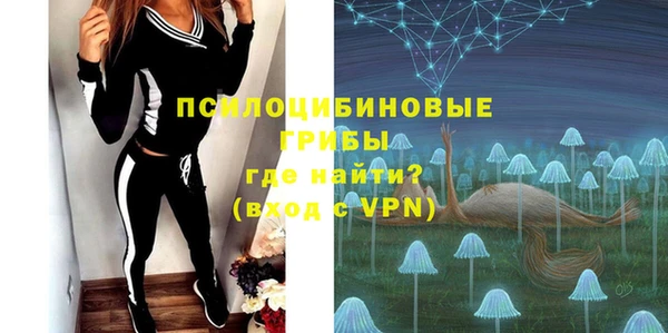 амф Бронницы