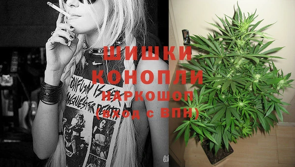 амф Бронницы