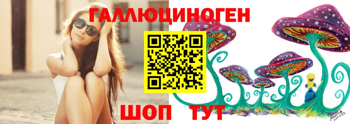 Псилоцибиновые грибы мицелий Гудермес